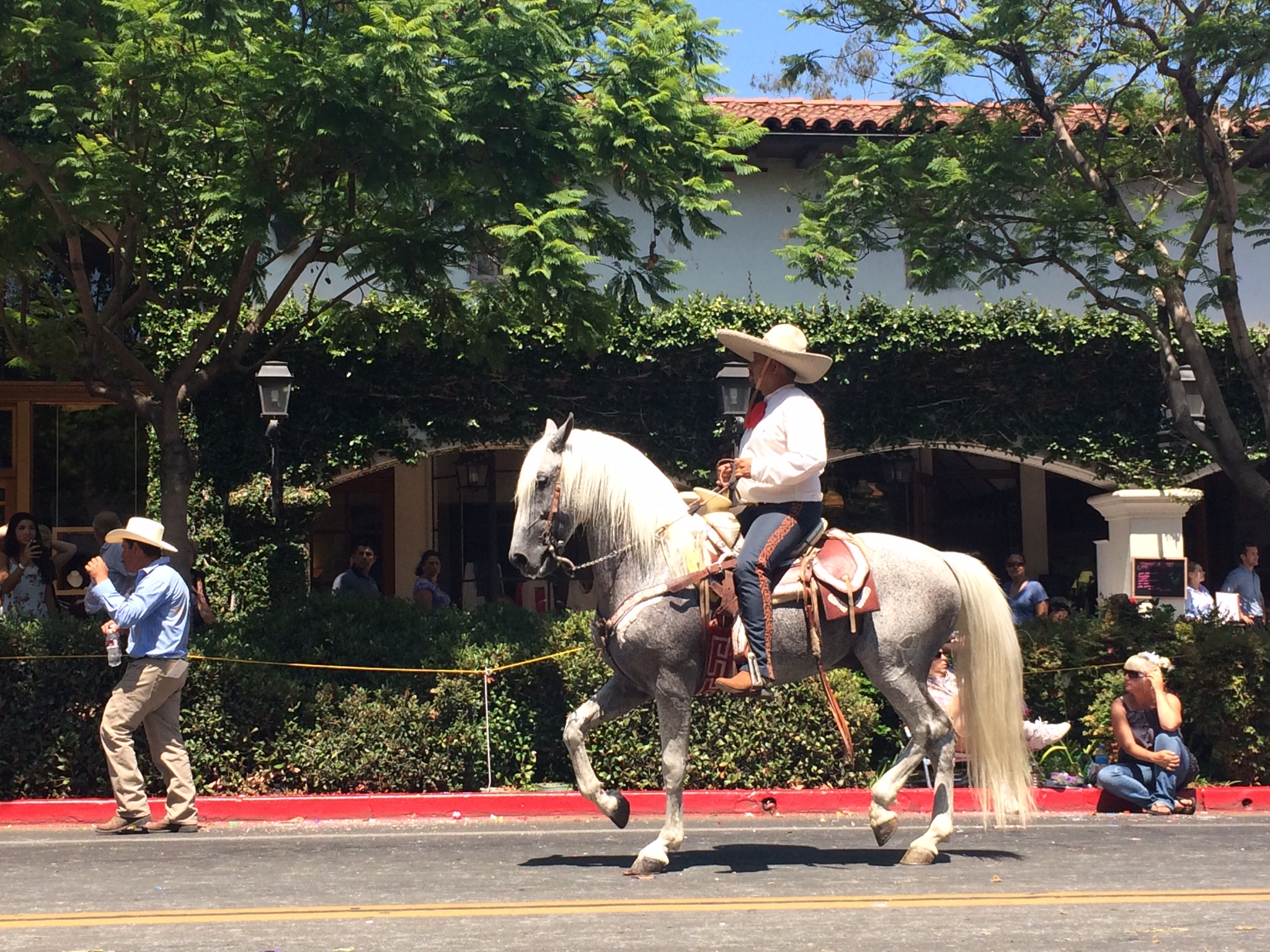 Ranchero horseback rider on State Street in the largest horse parade in North America during La Fiesta