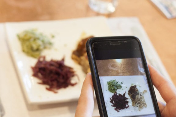 a hand holding a cellphone